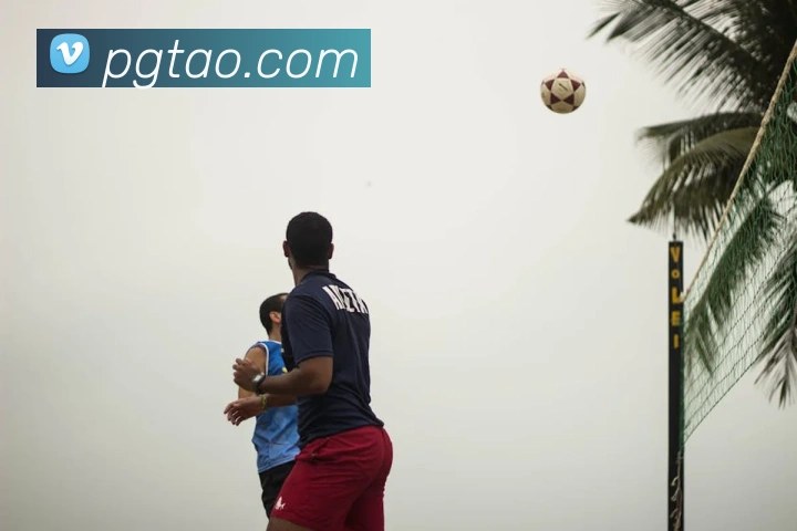 pg电子平台生态图