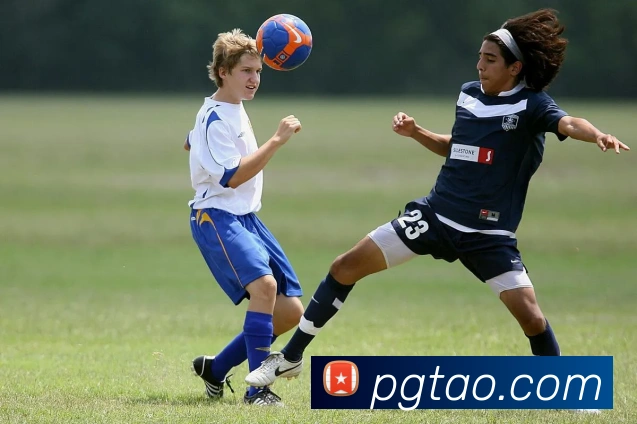 pg电子全站App pg电子全站App